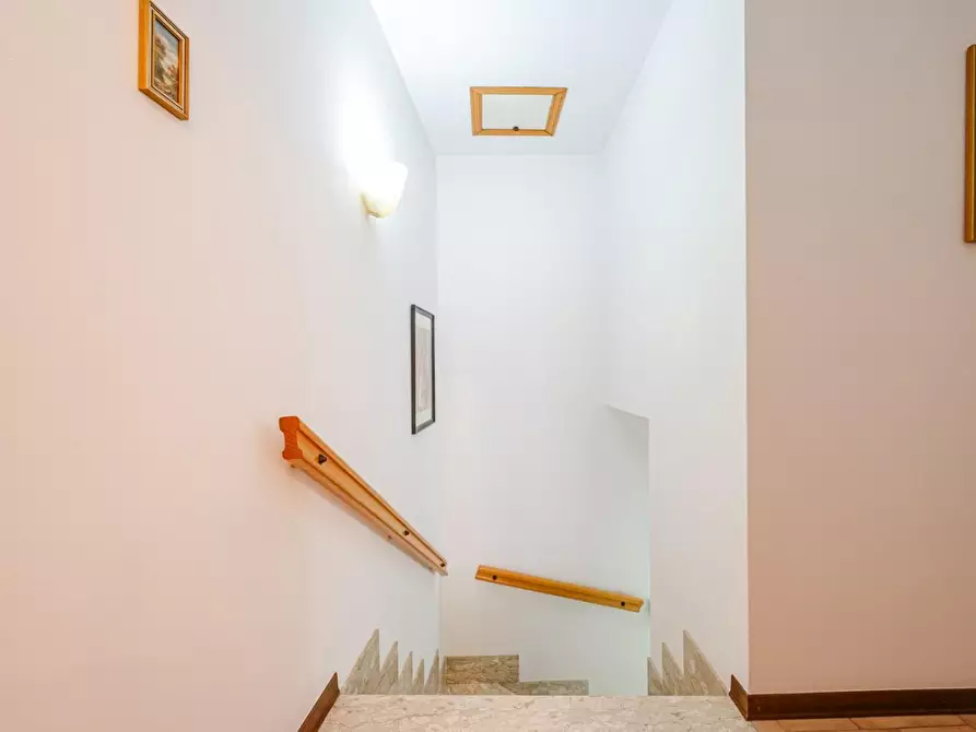 Immagine 42 di Terratetto in vendita  a Terricciola