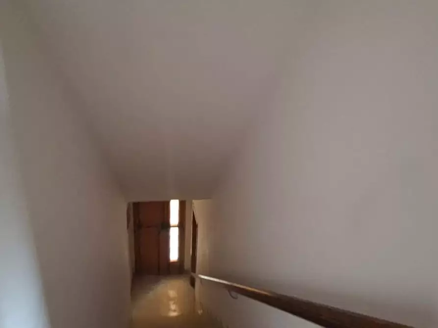 Immagine 52 di Terratetto in vendita  a Terricciola