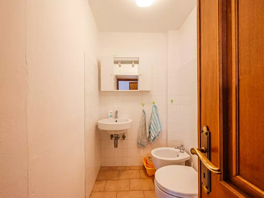 Immagine 38 di Terratetto in vendita  a Terricciola