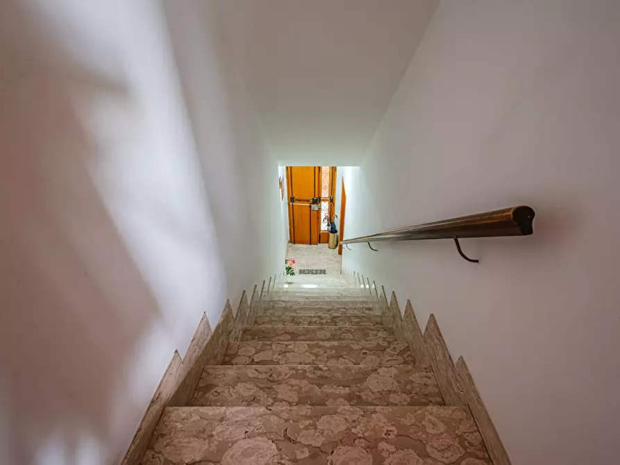 Immagine 51 di Terratetto in vendita  a Terricciola