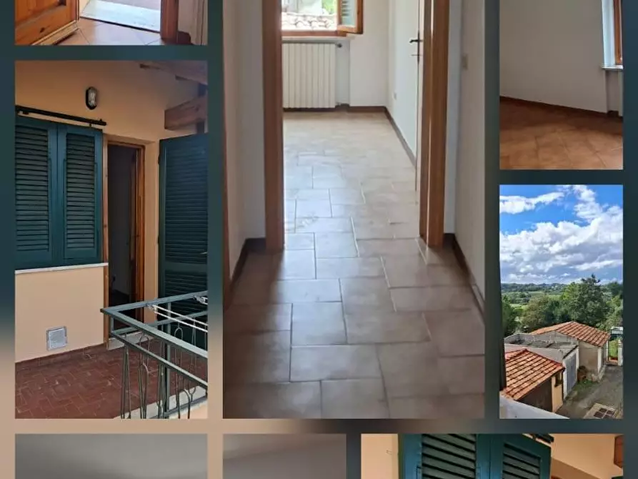 Immagine 61 di Terratetto in vendita  a Terricciola