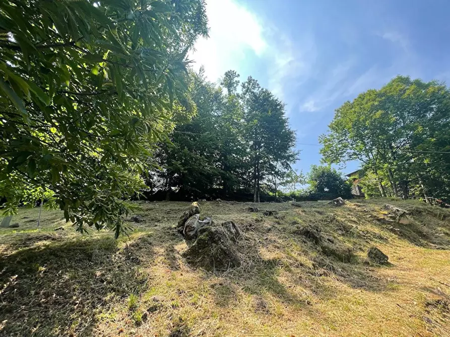 Immagine 9 di Albergo/B&B/Residence in vendita  a Abetone Cutigliano