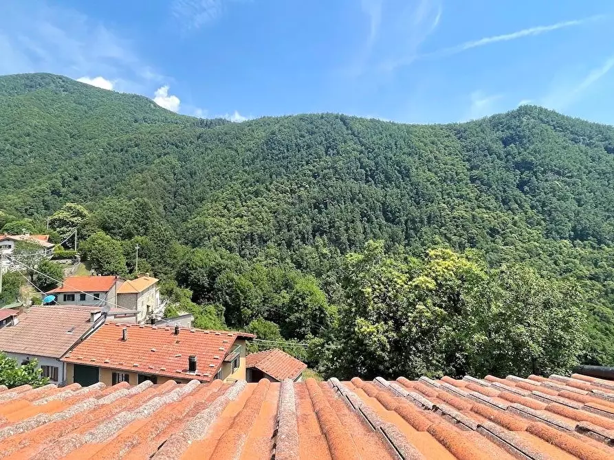 Immagine 38 di Albergo/B&B/Residence in vendita  a Abetone Cutigliano