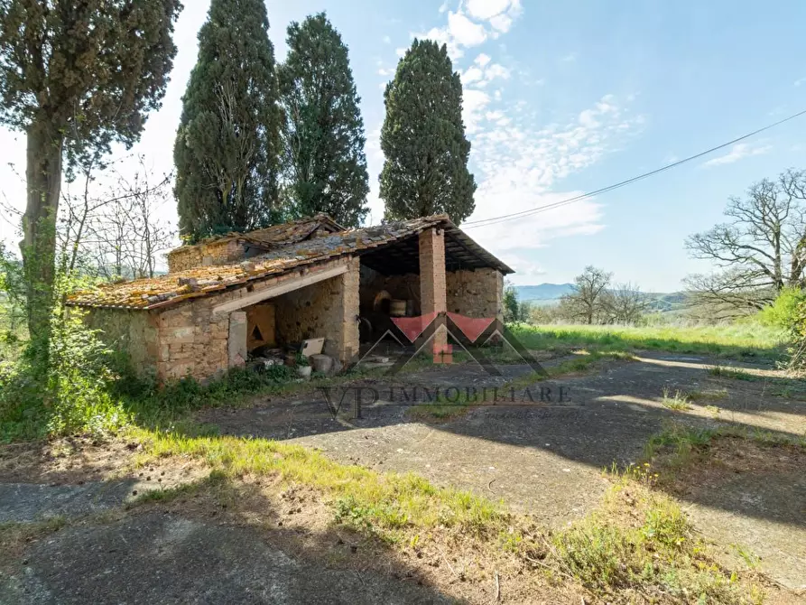 Immagine 12 di Rustico / casale in vendita  a Pomarance