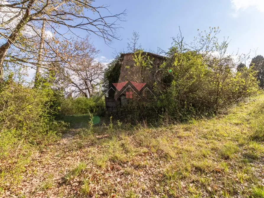 Immagine 16 di Rustico / casale in vendita  a Pomarance