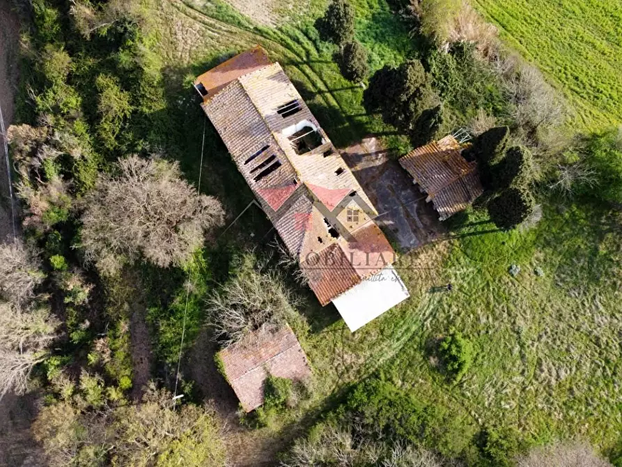 Immagine 3 di Rustico / casale in vendita  a Pomarance