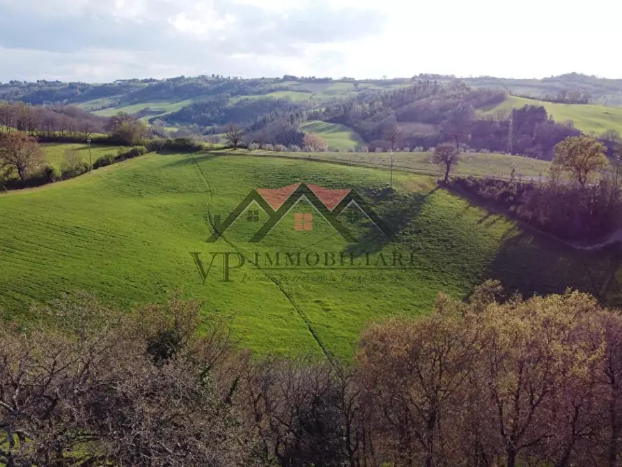 Immagine 9 di Rustico / casale in vendita  a Pomarance