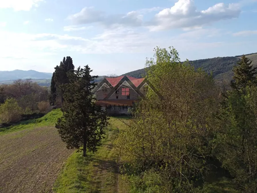 Immagine 10 di Rustico / casale in vendita  a Pomarance