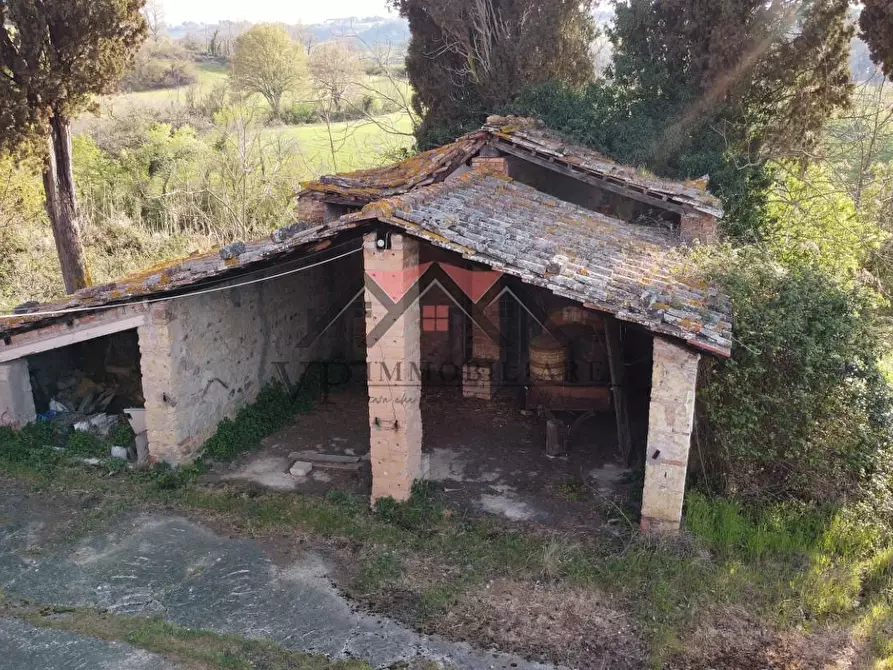 Immagine 6 di Rustico / casale in vendita  a Pomarance