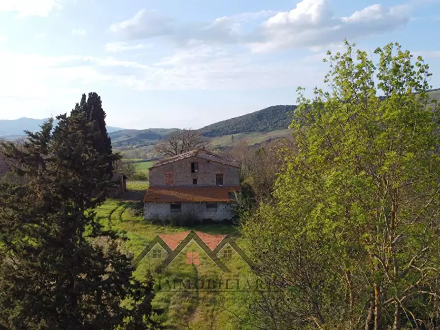 Immagine 4 di Rustico / casale in vendita  a Pomarance