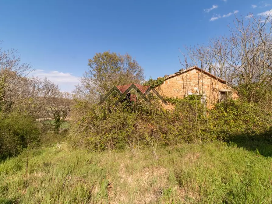 Immagine 15 di Rustico / casale in vendita  a Pomarance