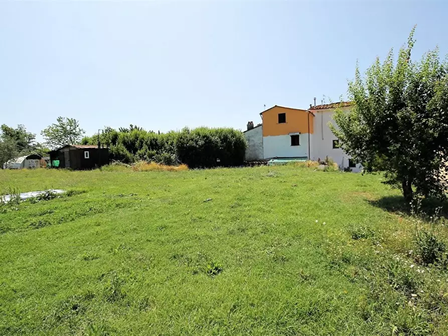 Immagine 6 di Appartamento in vendita  a Capannori