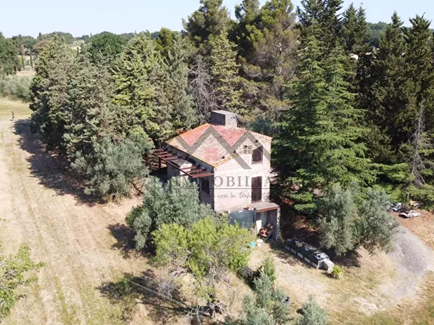 Immagine 12 di Rustico / casale in vendita  a Pomarance