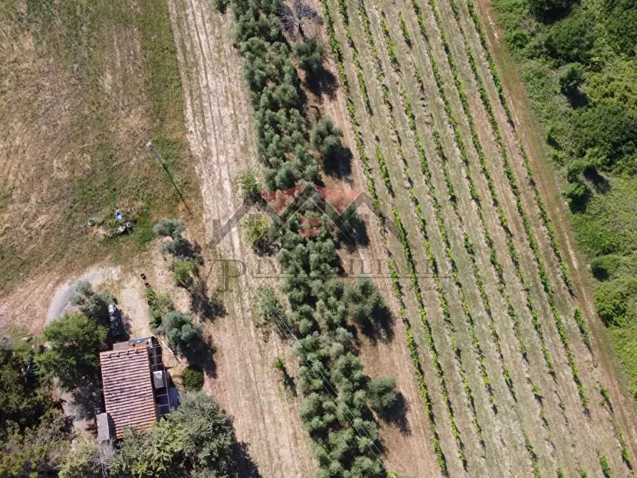 Immagine 15 di Rustico / casale in vendita  a Pomarance