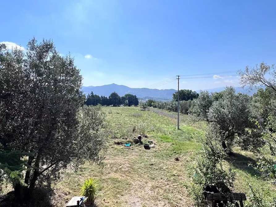 Immagine 11 di Rustico / casale in vendita  a Pomarance