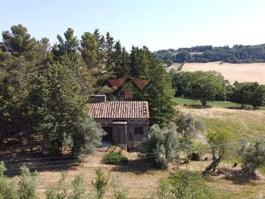 Immagine 24 di Rustico / casale in vendita  a Pomarance