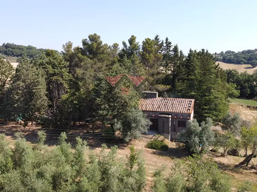 Immagine 22 di Rustico / casale in vendita  a Pomarance