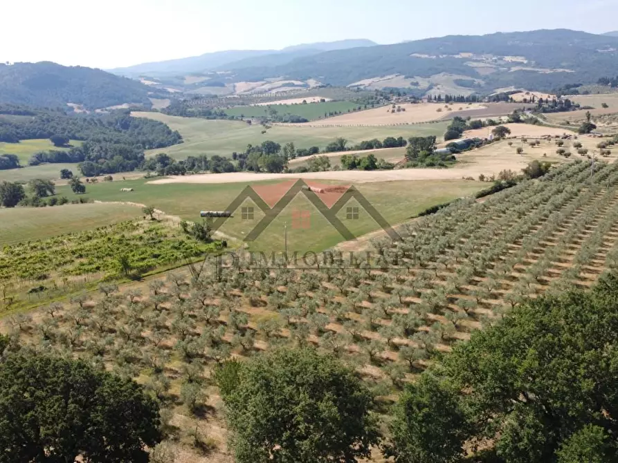 Immagine 18 di Rustico / casale in vendita  a Pomarance