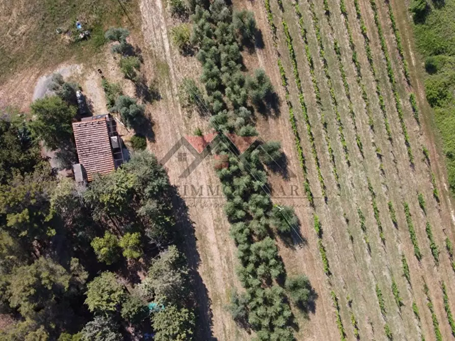 Immagine 14 di Rustico / casale in vendita  a Pomarance