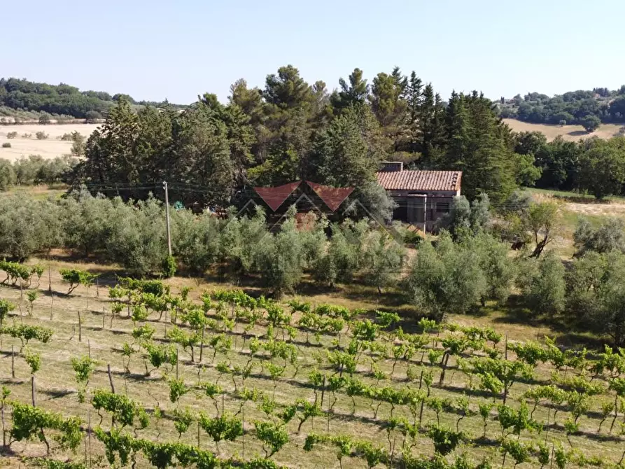 Immagine 20 di Rustico / casale in vendita  a Pomarance