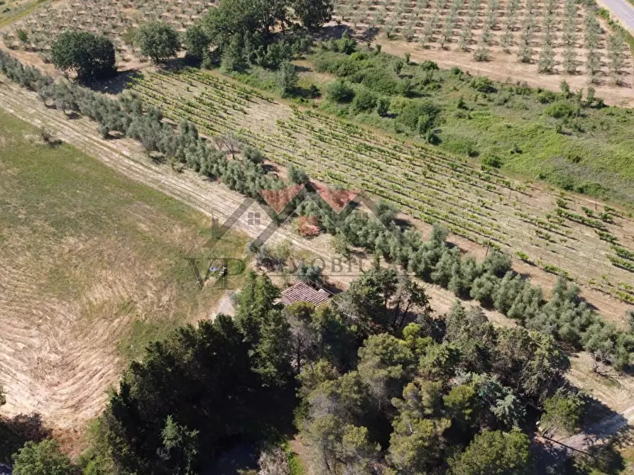 Immagine 29 di Rustico / casale in vendita  a Pomarance