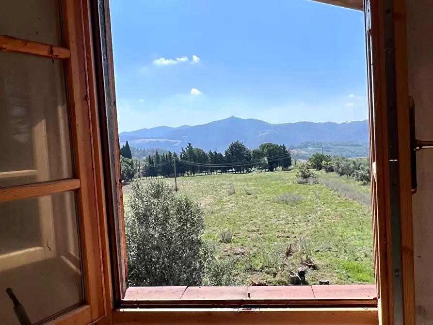 Immagine 10 di Rustico / casale in vendita  a Pomarance