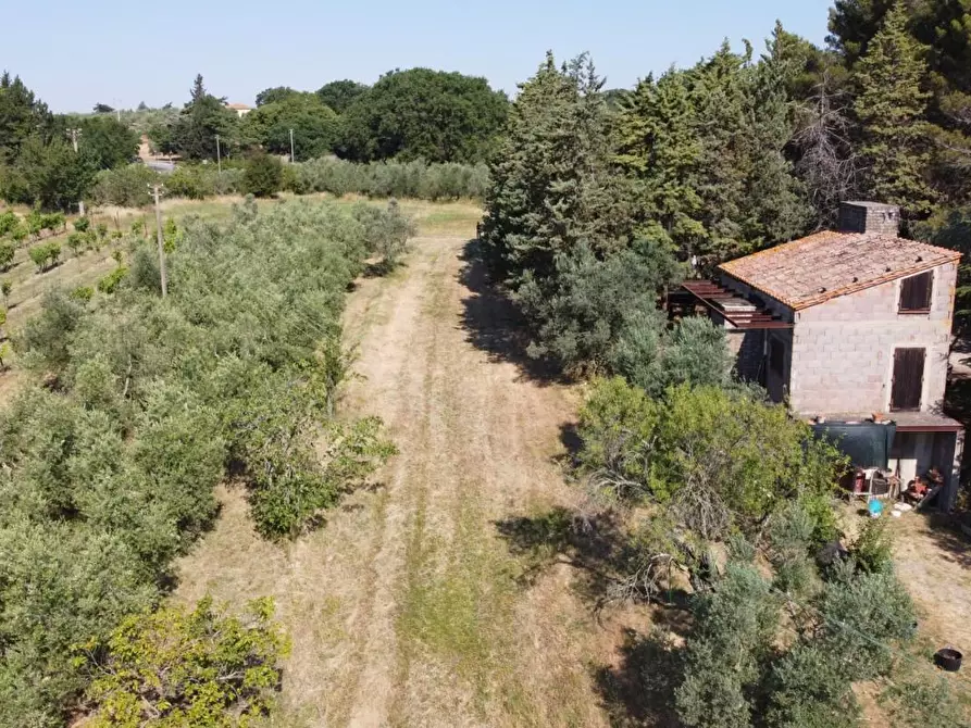 Immagine 28 di Rustico / casale in vendita  a Pomarance