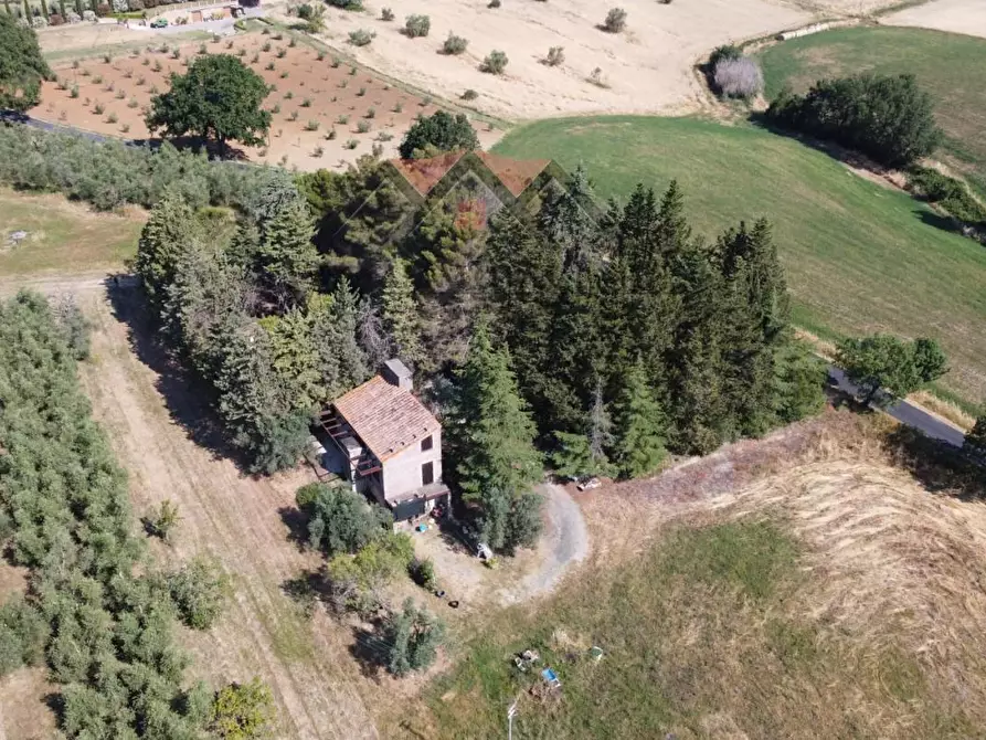 Immagine 17 di Rustico / casale in vendita  a Pomarance