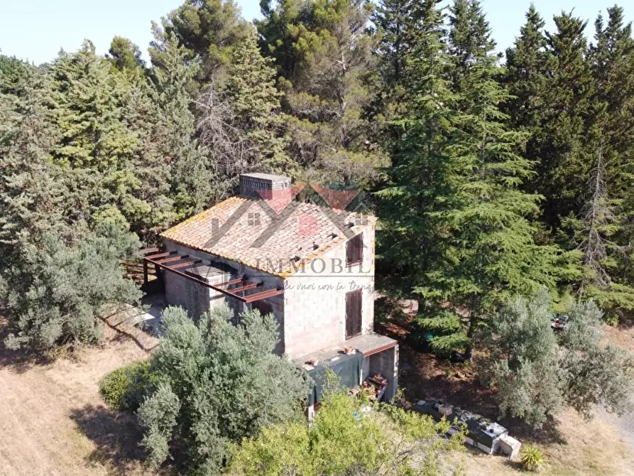 Immagine 26 di Rustico / casale in vendita  a Pomarance