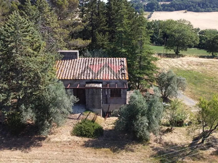 Immagine 23 di Rustico / casale in vendita  a Pomarance