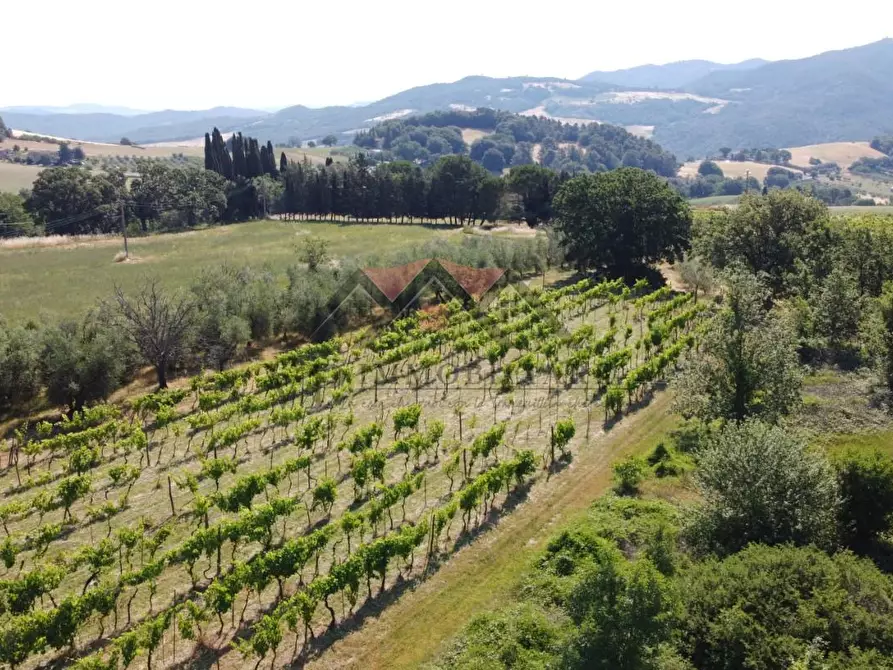 Immagine 19 di Rustico / casale in vendita  a Pomarance