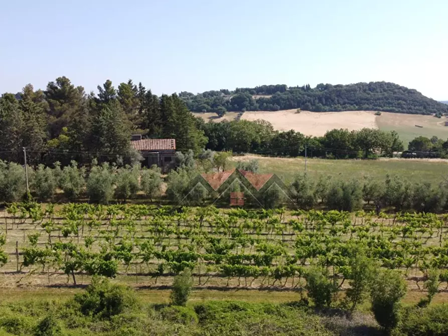 Immagine 21 di Rustico / casale in vendita  a Pomarance