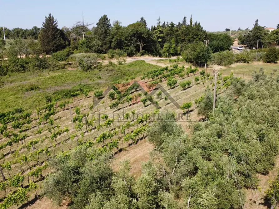 Immagine 27 di Rustico / casale in vendita  a Pomarance