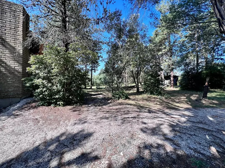 Immagine 6 di Rustico / casale in vendita  a Pomarance