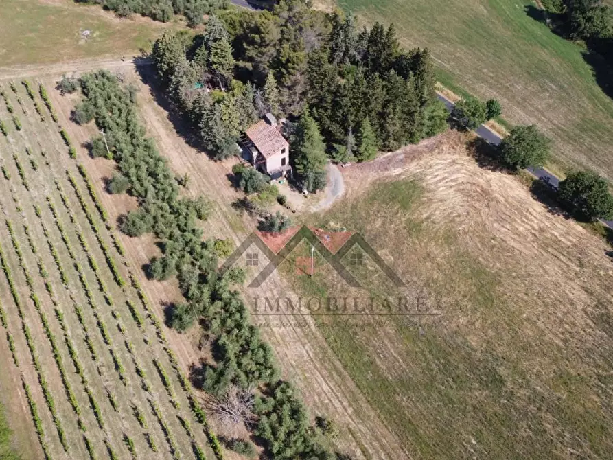 Immagine 16 di Rustico / casale in vendita  a Pomarance