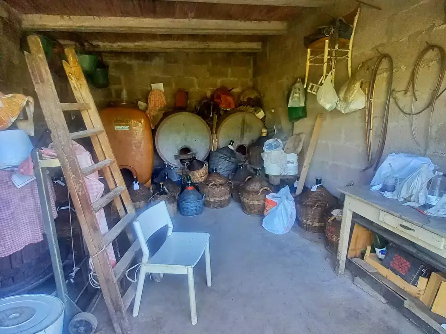 Immagine 5 di Terreno agricolo in vendita  a Castelfiorentino