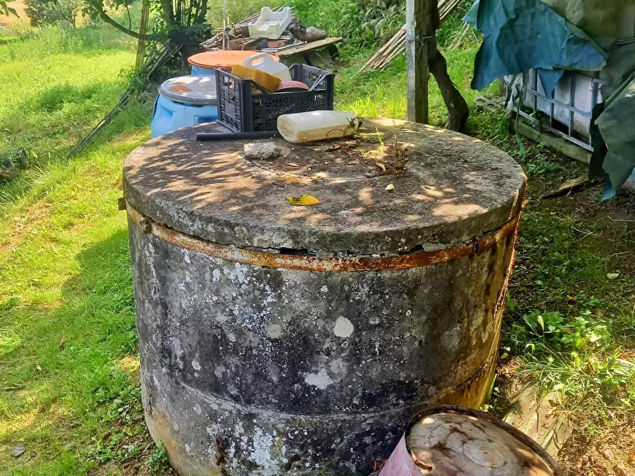 Immagine 4 di Terreno agricolo in vendita  a Castelfiorentino