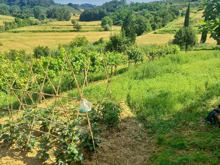 Immagine 1 di Terreno agricolo in vendita  a Castelfiorentino