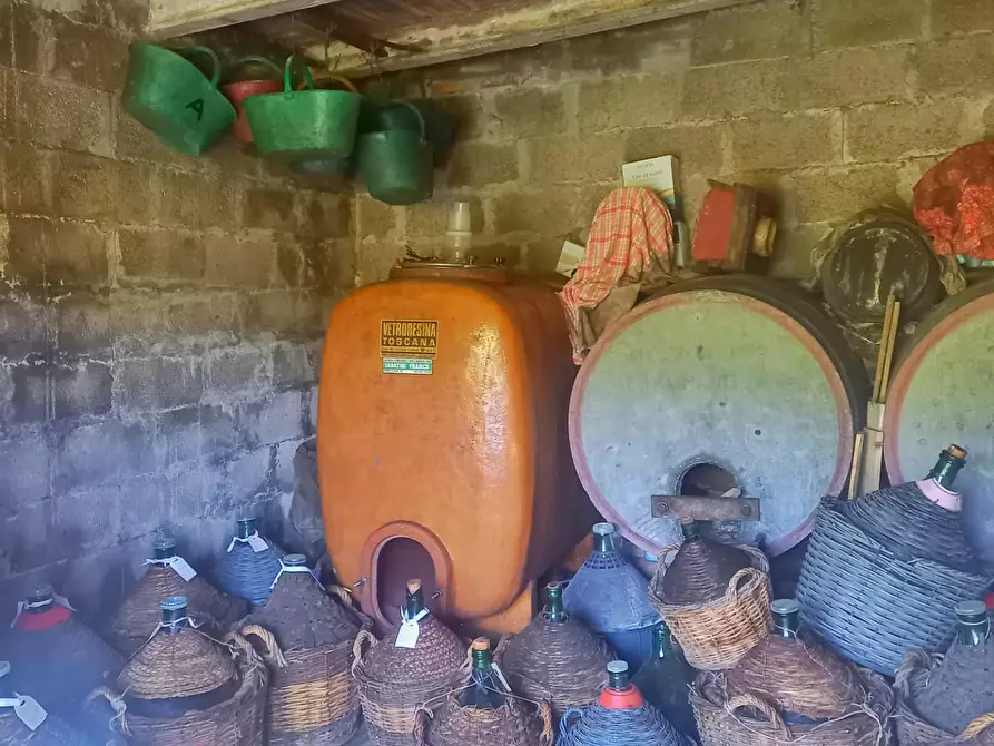 Immagine 6 di Terreno agricolo in vendita  a Castelfiorentino