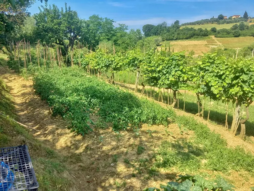 Immagine 2 di Terreno agricolo in vendita  a Castelfiorentino