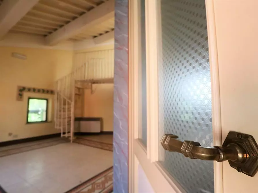 Immagine 32 di Locale commerciale in vendita  a Bientina