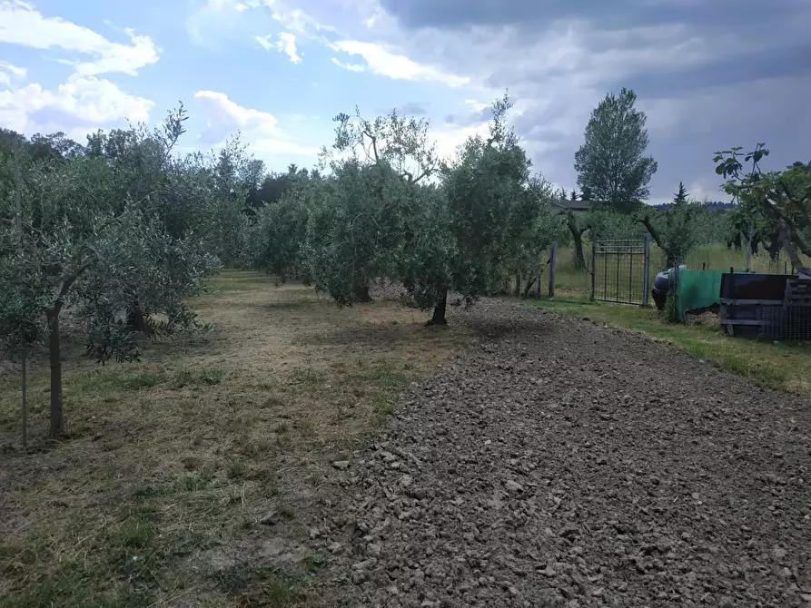 Immagine 3 di Terreno agricolo in vendita  a Empoli