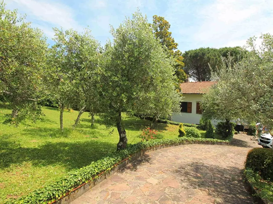 Immagine 3 di Villa in vendita  a Montecatini Terme