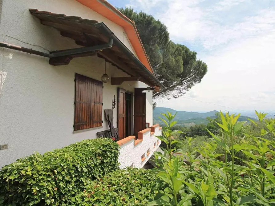 Immagine 31 di Villa in vendita  a Montecatini Terme