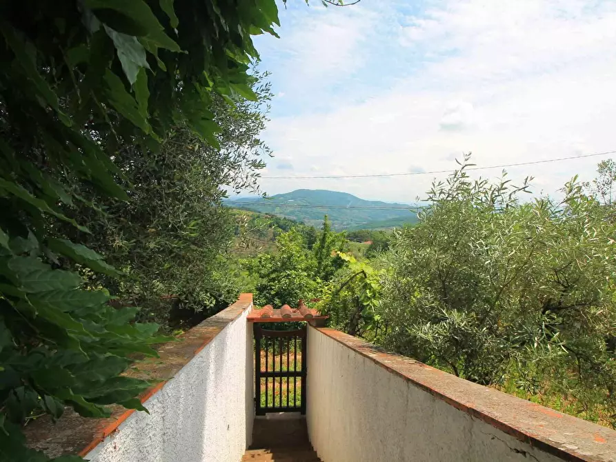 Immagine 26 di Villa in vendita  a Montecatini Terme