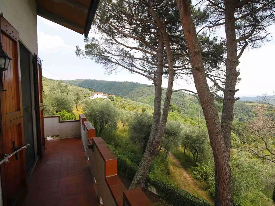 Immagine 21 di Villa in vendita  a Montecatini Terme