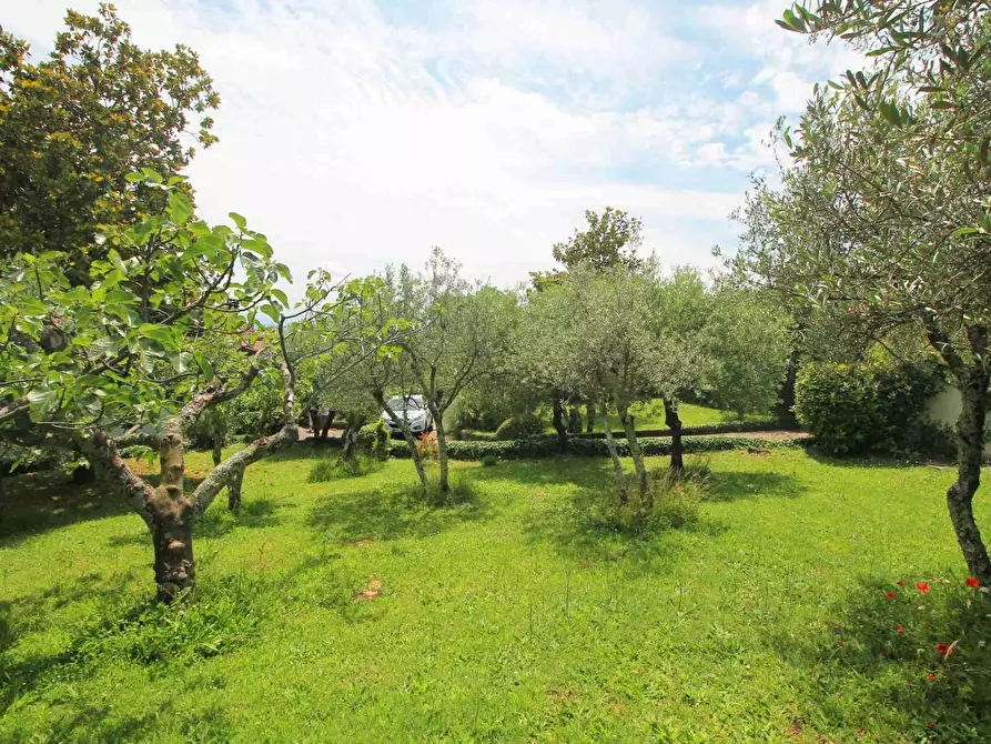 Immagine 22 di Villa in vendita  a Montecatini Terme