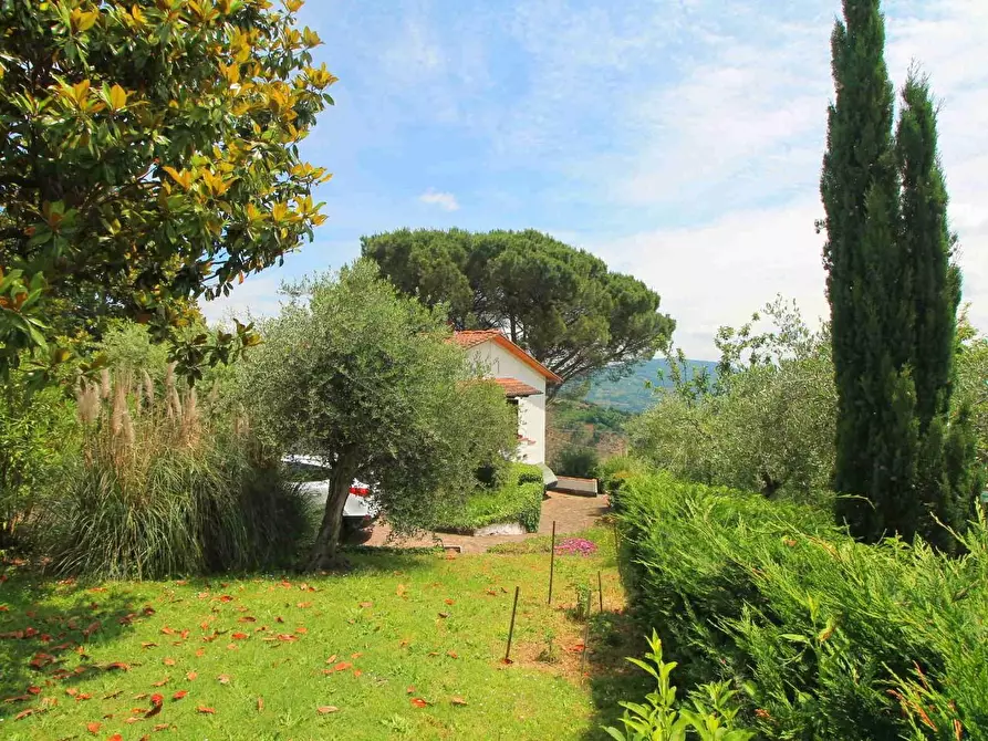Immagine 4 di Villa in vendita  a Montecatini Terme