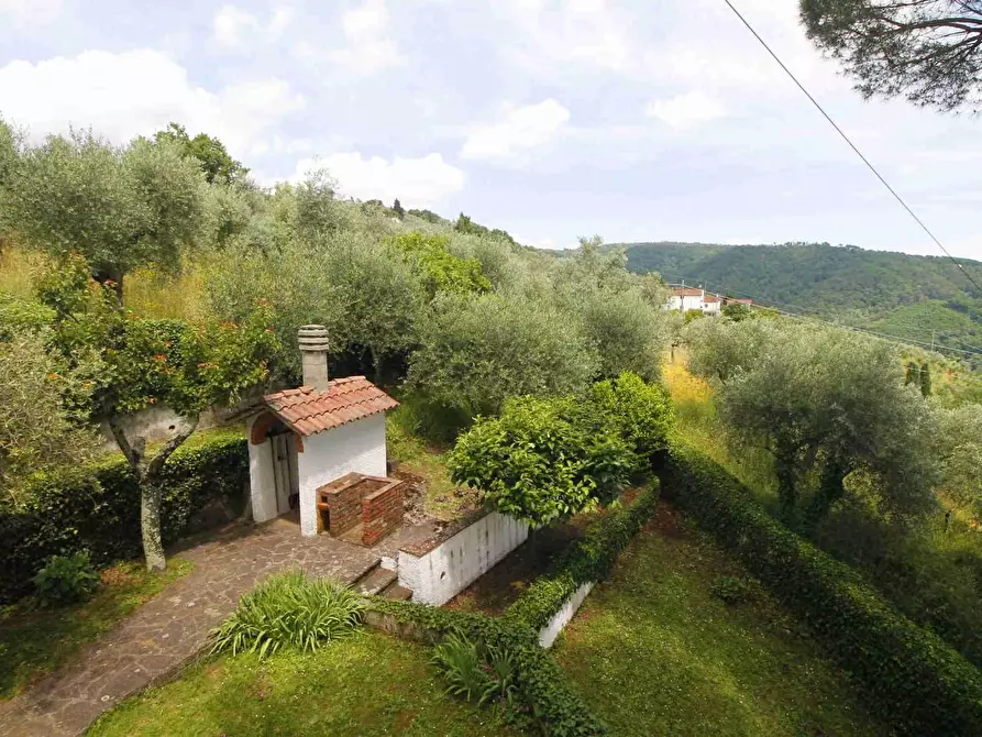 Immagine 5 di Villa in vendita  a Montecatini Terme