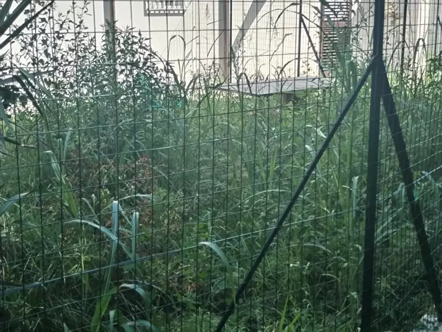 Immagine 5 di Porzione di casa in vendita  a Massa